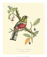 Nature Jardin I Fine Art Print