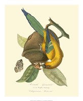 Nature Jardin IV Fine Art Print