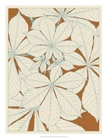 Leaves from Nature I Fine Art Print