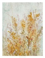 Spring Time II Fine Art Print