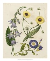 Garden Pairings V Fine Art Print