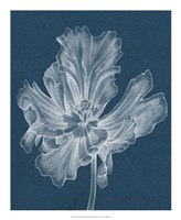 Monochrome Tulip II Fine Art Print
