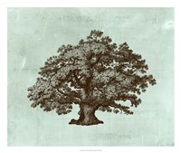 Spa Tree III Fine Art Print