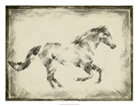 Equine Study I Fine Art Print