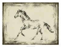 Equine Study II Fine Art Print