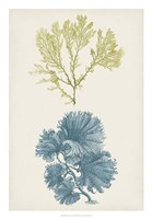 Aqua & Citron Coral I Framed Print