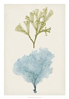 Aqua & Citron Coral II Framed Print