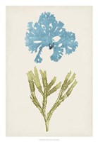 Aqua & Citron Coral III Framed Print