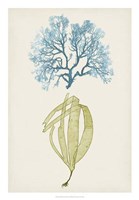 Aqua & Citron Coral IV Framed Print