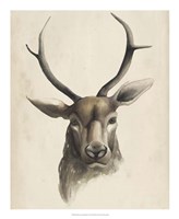 Watercolor Animal Study I Fine Art Print