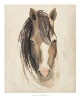 Watercolor Animal Study V Fine Art Print
