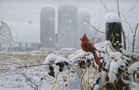 Flaming Glory Fine Art Print