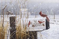 Country Red Fine Art Print