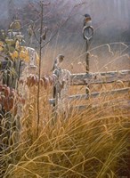 Autumn Mist Fine Art Print