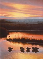 Sanctuary Fine Art Print