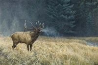 Autumn Monarch Fine Art Print