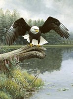 Majestic Showers Fine Art Print