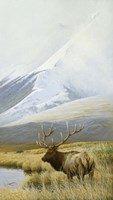 Autumn Uprights, Elk Fine Art Print