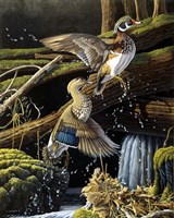 Hidden Pool Fine Art Print