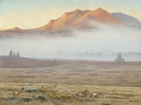 Mackenzie Passage Fine Art Print