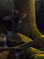 Magical Moment Fine Art Print