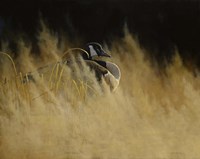 Misty Morning Sentinal Fine Art Print