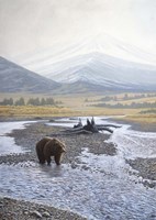 Wilderness Walk Fine Art Print