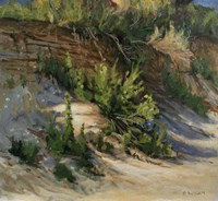 Gull Island Fine Art Print