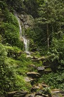 ChiangMai 1 Fine Art Print