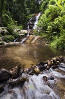 ChiangMai 3 Fine Art Print