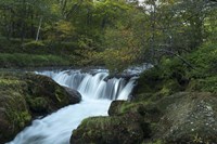 Nikko 3 Fine Art Print