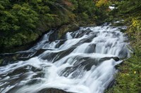 Nikko 4 Fine Art Print