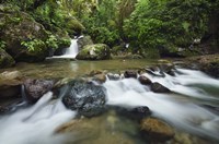 Scotabato1 Fine Art Print