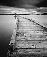 Motchia Fine Art Print