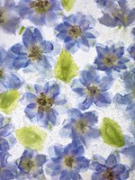 Flores Congeladas 1 Fine Art Print