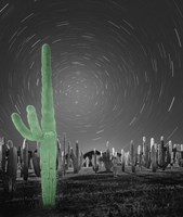 Sonora - Pop Fine Art Print