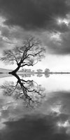 New Beginning Reflect Fine Art Print