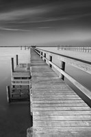 Future I Fine Art Print