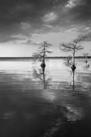 Pareja Fine Art Print