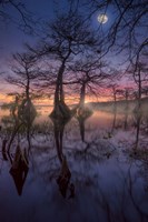 Magic Sunset Fine Art Print