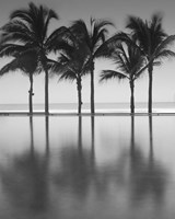 48 St Fine Art Print