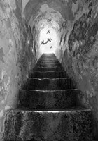 Freedom Fine Art Print