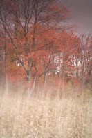 Trees On Wind 1 Fine Art Print