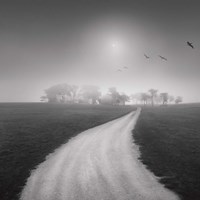 Destiny 1 Fine Art Print