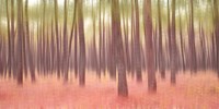 Blurred Trees 5 Fine Art Print