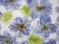 Flores Congeladas 4 Fine Art Print