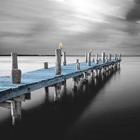 Tiempo Sharp - Pop Fine Art Print