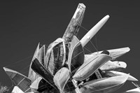 Sky Boats Fine Art Print