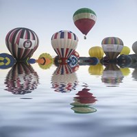 Love is in Air III Fine Art Print