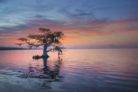 Alone at Sunrise Fine Art Print